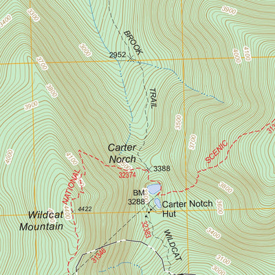 US Forest Service - Topo Carter Dome, NH FSTopo Legacy digital map
