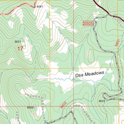 US Forest Service - Topo Casa Vieja Meadows, CA FSTopo Legacy digital map