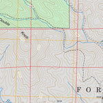 US Forest Service - Topo Cashes Valley, GA FSTopo Legacy digital map