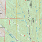 US Forest Service - Topo Cassville, MO FSTopo Legacy digital map