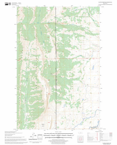US Forest Service - Topo Castle Reef, MT FSTopo Legacy digital map