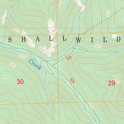 US Forest Service - Topo Cathedral Peak, MT FSTopo Legacy digital map