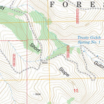US Forest Service - Topo Cattle Gulch, MT FSTopo Legacy digital map