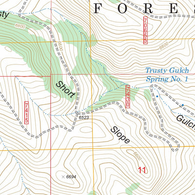 US Forest Service - Topo Cattle Gulch, MT FSTopo Legacy digital map