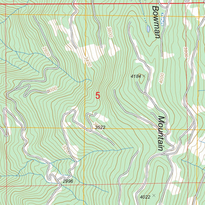 US Forest Service - Topo Cavanaugh Creek, WA FSTopo Legacy digital map