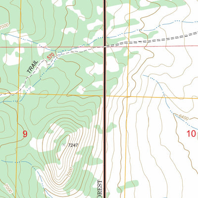 US Forest Service - Topo Cave Mountain, NV FSTopo Legacy digital map