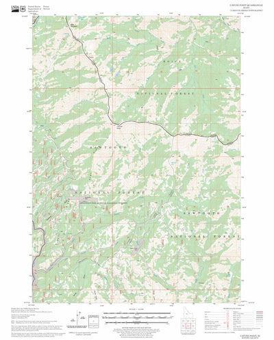 US Forest Service - Topo Cayuse Point, ID FSTopo Legacy digital map