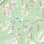 US Forest Service - Topo Cayuse Point, ID FSTopo Legacy digital map
