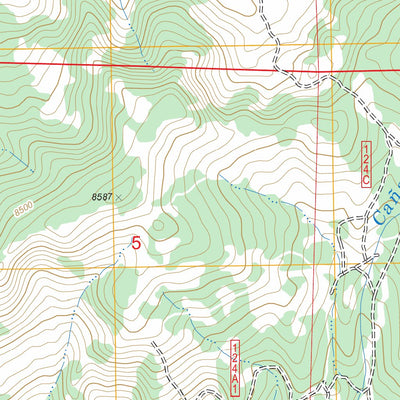 US Forest Service - Topo Cebolla, NM FSTopo Legacy digital map