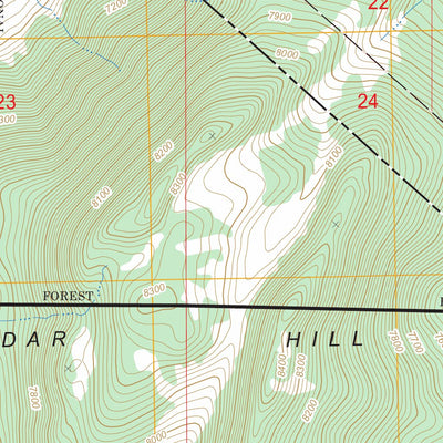 US Forest Service - Topo Cedar Hill, CA - NV FSTopo Legacy digital map