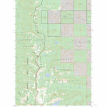 US Forest Service - Topo Cedar Lake, MT FSTopo Legacy digital map