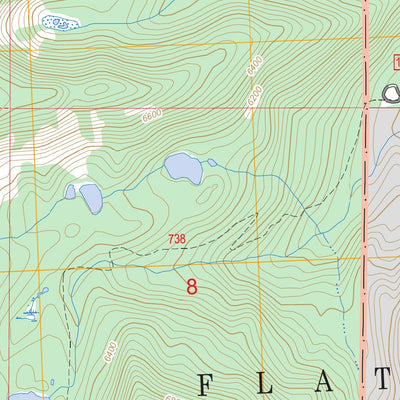 US Forest Service - Topo Cedar Lake, MT FSTopo Legacy digital map