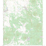 US Forest Service - Topo Cedar Mountain, OR FSTopo Legacy digital map