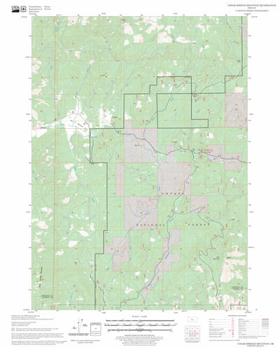US Forest Service - Topo Cedar Springs Mountain, OR FSTopo Legacy digital map