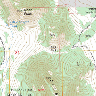 US Forest Service - Topo Cedarvale, NM FSTopo Legacy digital map