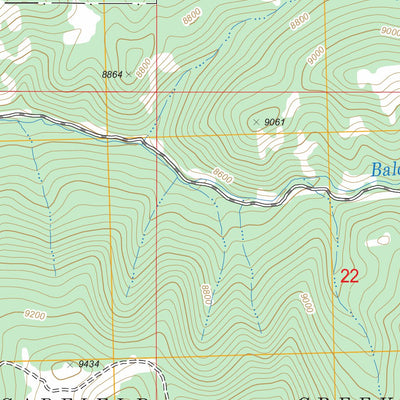 US Forest Service - Topo Center Mountain, CO FSTopo Legacy digital map