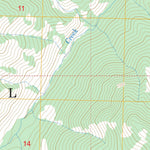 US Forest Service - Topo Center Mountain, ID FSTopo Legacy digital map