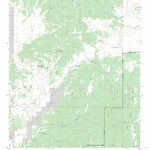 US Forest Service - Topo Centerfire Bog, NM FSTopo Legacy digital map