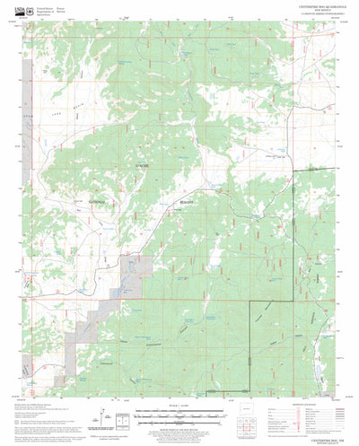 US Forest Service - Topo Centerfire Bog, NM FSTopo Legacy digital map