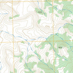US Forest Service - Topo Cerro Alesna, NM FSTopo Legacy digital map
