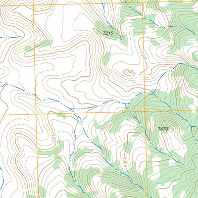 US Forest Service - Topo Cerro Alesna, NM FSTopo Legacy digital map