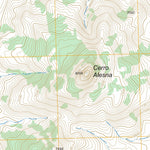 US Forest Service - Topo Cerro Alesna, NM FSTopo Legacy digital map