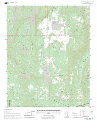 US Forest Service - Topo Cerro del Grant, NM FSTopo Legacy digital map