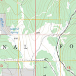 US Forest Service - Topo Cerro del Grant, NM FSTopo Legacy digital map