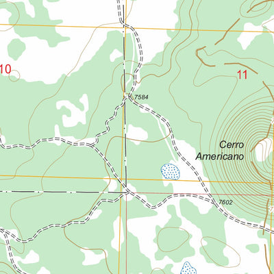 US Forest Service - Topo Cerro Hueco, NM FSTopo Legacy digital map
