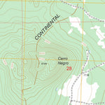 US Forest Service - Topo Cerro Hueco, NM FSTopo Legacy digital map