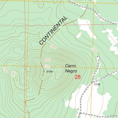 US Forest Service - Topo Cerro Hueco, NM FSTopo Legacy digital map