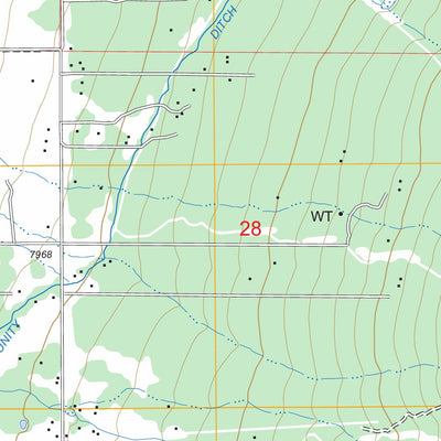 US Forest Service - Topo Cerro, NM FSTopo Legacy digital map