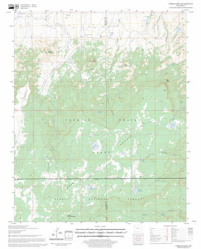 US Forest Service - Topo Cerro Parido, NM FSTopo Legacy digital map