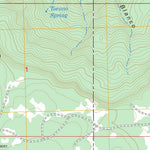 US Forest Service - Topo Cerro Parido, NM FSTopo Legacy digital map