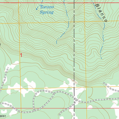 US Forest Service - Topo Cerro Parido, NM FSTopo Legacy digital map
