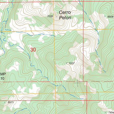US Forest Service - Topo Cerro Parido, NM FSTopo Legacy digital map