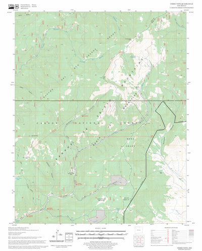 US Forest Service - Topo Cerro Vista, NM FSTopo Legacy digital map