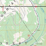 US Forest Service - Topo Cerro Vista, NM FSTopo Legacy digital map