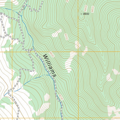 US Forest Service - Topo Chacon, NM FSTopo Legacy digital map