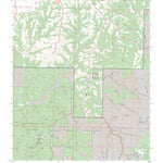 US Forest Service - Topo Chadwick, MO FSTopo Legacy digital map