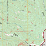 US Forest Service - Topo Chadwick, MO FSTopo Legacy digital map