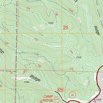 US Forest Service - Topo Chadwick, MO FSTopo Legacy digital map