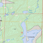 US Forest Service - Topo Cherokee Lake, MN FSTopo Legacy digital map