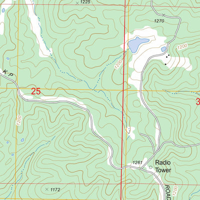 US Forest Service - Topo Cherryville, MO FSTopo Legacy digital map