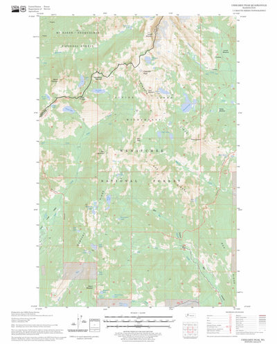 US Forest Service - Topo Chikamin Peak, WA FSTopo Legacy digital map