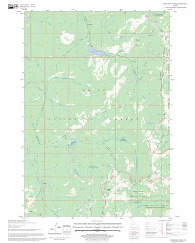US Forest Service - Topo Chilcoot Peak, ID FSTopo Legacy digital map