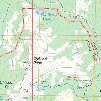US Forest Service - Topo Chilcoot Peak, ID FSTopo Legacy digital map