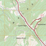US Forest Service - Topo Chilhowie, VA FSTopo Legacy digital map