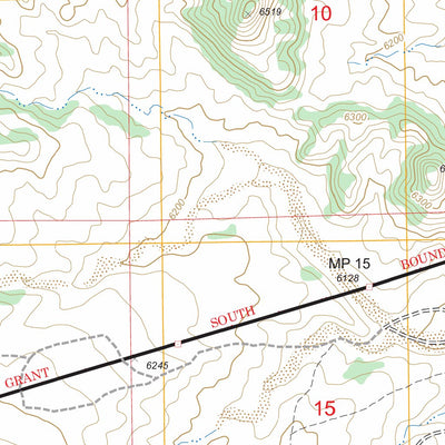 US Forest Service - Topo Chili, NM FSTopo Legacy digital map