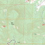 US Forest Service - Topo Chili, NM FSTopo Legacy digital map